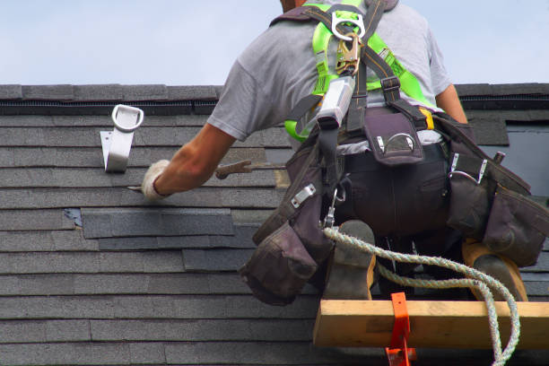 Best Rubber Roofing (EPDM, TPO)  in Lake Barrington, IL